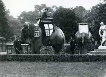 Reitende Elefanten geschmückt für die Friedensfeierlichkeiten, 19. Juli 1919